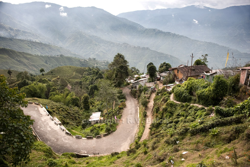 India, Darjeeling.    © R.V. Bulck